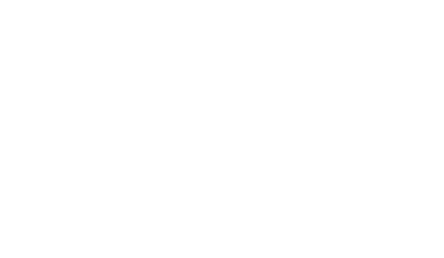 American Pastor Project logo and title